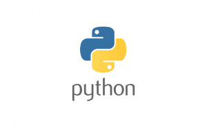 Python language