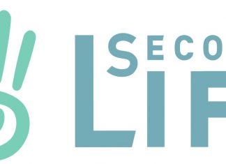 Best Laptops for Second Life: 5 Laptops to Play Second Life in 2019! Best Laptops for Second Life