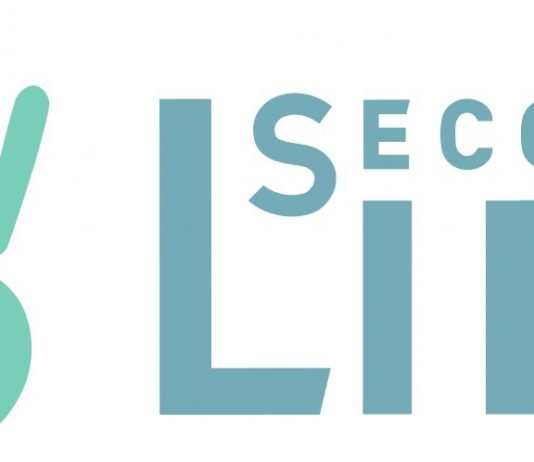 Best Laptops for Second Life: 5 Laptops to Play Second Life in 2019! Best Laptops for Second Life