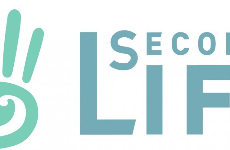 Best Laptops for Second Life
